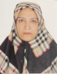 Mahin Rasietemadi — DHA-licensed Obstetrics And Gynecology