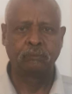 Hashim Hamza — DHA-licensed Otolaryngology