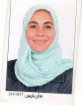 Alaa Elsayed — DHA-licensed Internal Medicine