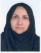 Leili Hafizi — DHA-licensed Obstetrics And Gynecology