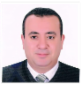 Mahmoud Amer — DHA-licensed Nephrology